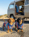 Two Dachsunds in colorful wearable dog towels, standing on a road near an open van with beach scenery.