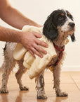 dog being dried by a Dolphin and Dog, dog towel.