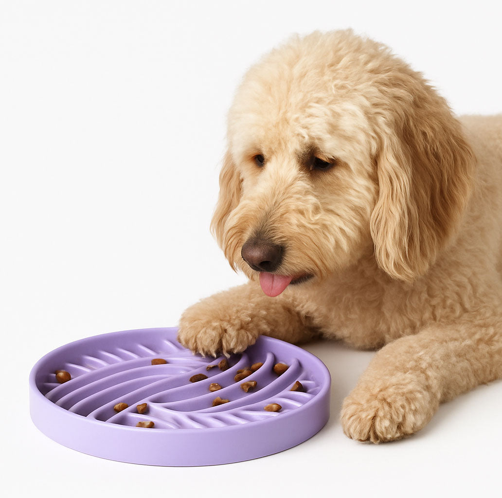 Eco-friendly slow feeder dog bowl made from soft, food-grade silicone. Slows down eating to reduce bloating and indigestion.