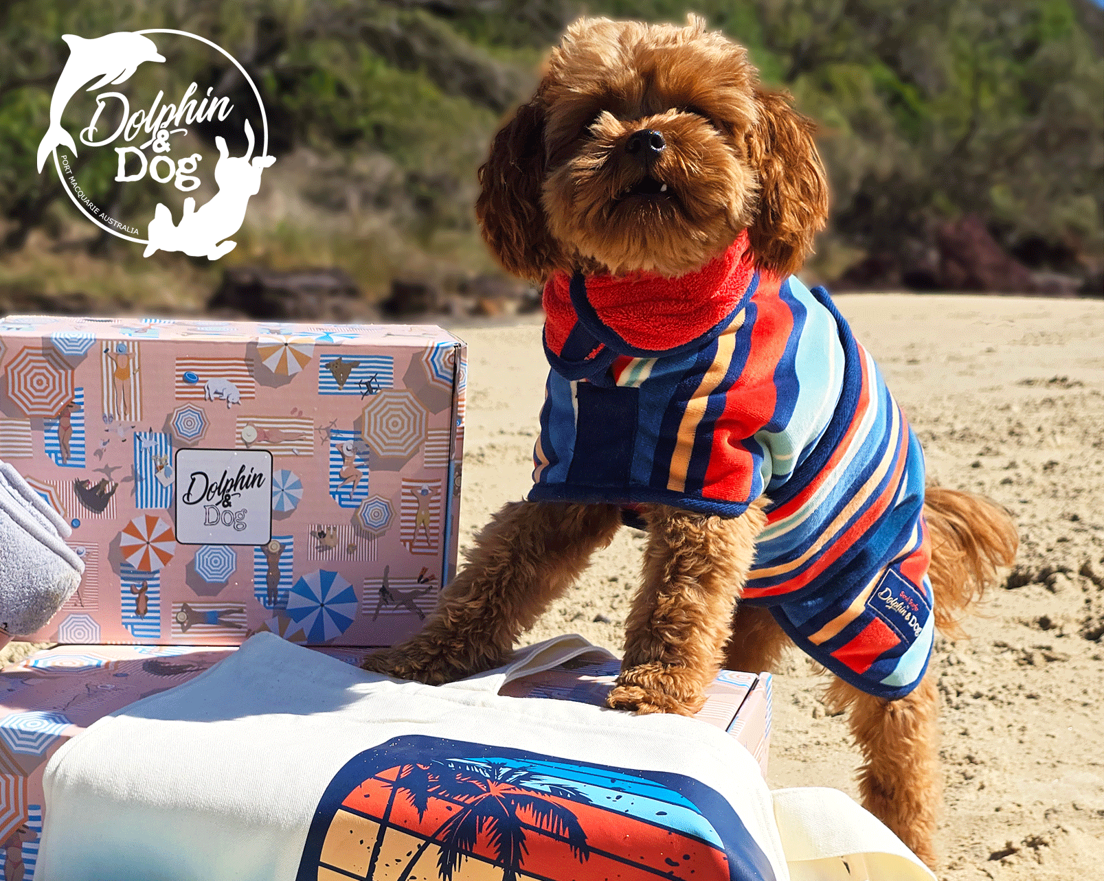 best dog gifts, a range of gits for dogs. a personalised dog gift box