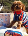 best dog gifts, a range of gits for dogs. a personalised dog gift box