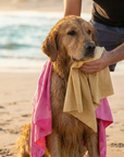 A wet golden retriever sits on a beach with a pink chamois cloth on its back and a tan one drying its face at sunset.