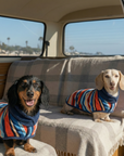 Dachshunds in a camper van at the beach wearing their wearable dog towels,