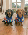 two dachshunds wearing a dog bathrobe and anxiety jacket, design by Dolphin & Dog. The dogs are standing in the house wet, after a walk outside in the rain.