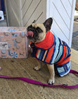 french bull dog , dog drrying coat, hooded dog towel, dog hooded towel, dog towel robe
