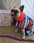 french bull dog , dog drrying coat, hooded dog towel, dog hooded towel, dog towel robe