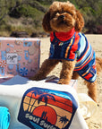 Dog in a wearable dog towel on the beach in Australia, gift box hamper in the background