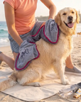 Dog sitting on a beach being dried with a dog towel, dog towel is branded with Dolphin and Dog