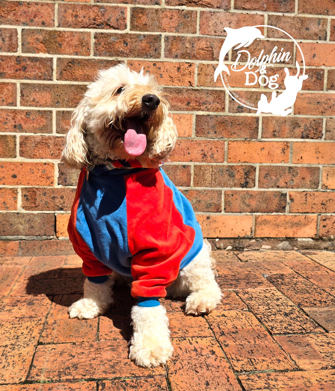 Dog Hoodie – Keep your pup warm and stylish with my ultra-soft dog hoodie, perfect for chilly days and cosy nights. dog jumper