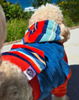 a dog wearing a dog hoodie, with a pocket and a hood, it is brightly coloured.