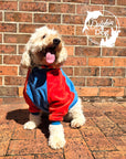 Dog Hoodie – Keep your pup warm and stylish with my ultra-soft dog hoodie, perfect for chilly days and cosy nights. dog jumper