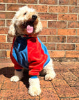 Dog Hoodie – Keep your pup warm and stylish with my ultra-soft dog hoodie, perfect for chilly days and cosy nights. dog jumper