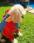 dog earing a dog hoodie by the pool on a sunny day, the dog jumper is red and blue with a striped hood