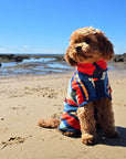 a dog towel robe, a dog towel that's a dog bathrobe