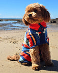 A dog wearing a dog towel on the beach, the towel is a wearable dog drying coat designed by Dolphin and Dog