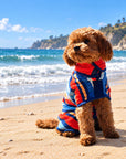 Dog wearing a premium dog drying robe on the beach after swimming