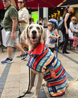 dog towel robe, a dog drying coat that is a wearable dog towel.