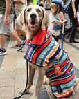 dog towel robe, a dog drying coat that is a wearable dog towel.