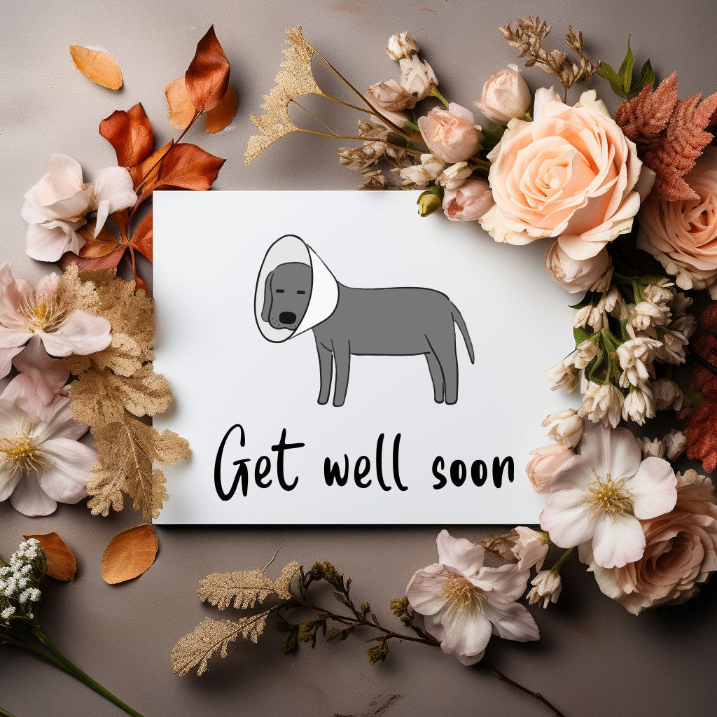 'Get Well Soon' card with a playful design, perfect for sharing love and support with those in recovery.