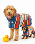 Two dogs in striped dog drying coats and matching robes with a rubber duck accessory, studio shot on white