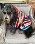 dog hooded towel, dog drying coat, the best dog towels, dog coat for dogs