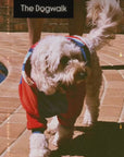 the best dog hoodie money can buy. check out this hoodie for dogs. free shipping and free matching tote bag. dog jumper