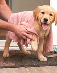 A person wraps a soft pink chamois around a wet golden retriever puppy’s paw on a textured mat.