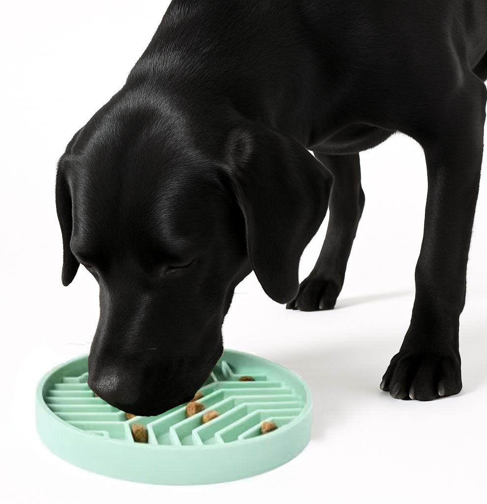 Help your dog eat slower with this non-slip silicone slow feeder bowl. BPA-free, food-safe, easy to clean, and travel-friendly.