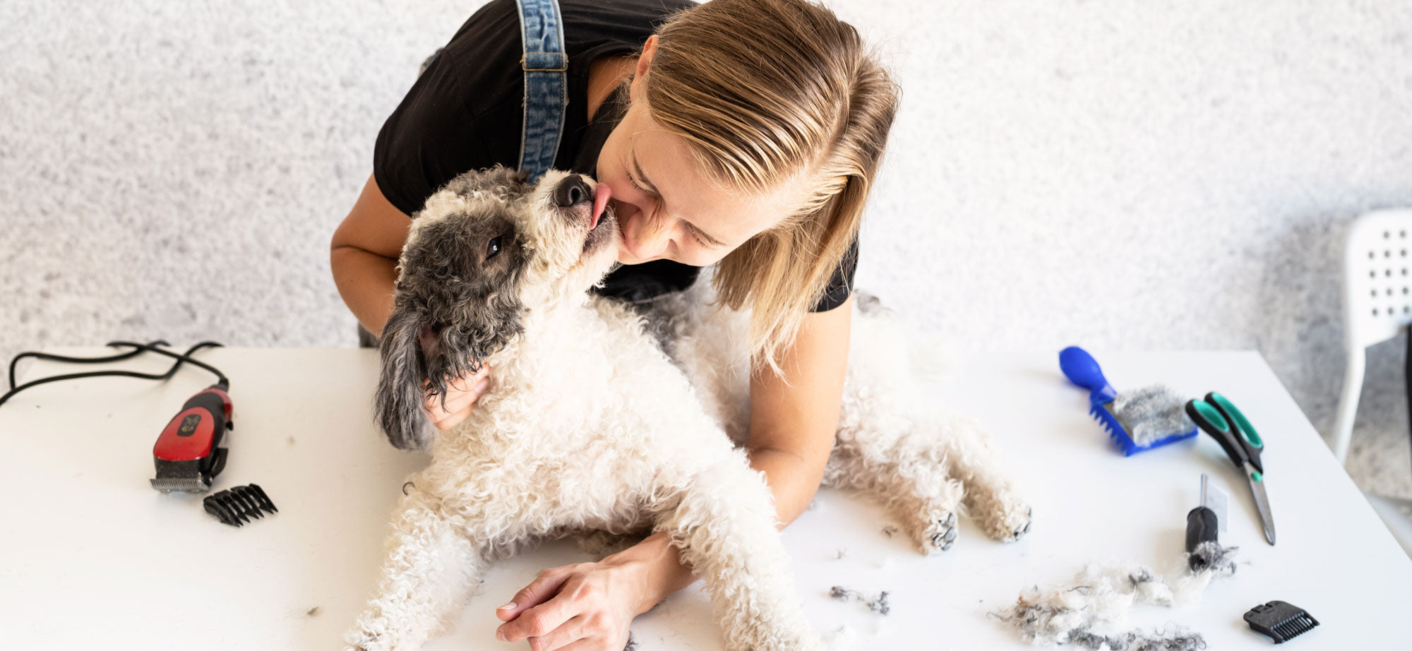 dog grooming, wired haired dogs, grooming dogs, dog, dogs, grooming, grooming your dog, dog help guide, grooming for dogs, help grooming dogs, dog bath,