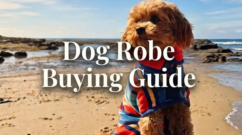 Dog wearing a colourful dog robe at the beach for a dog robe buying guide