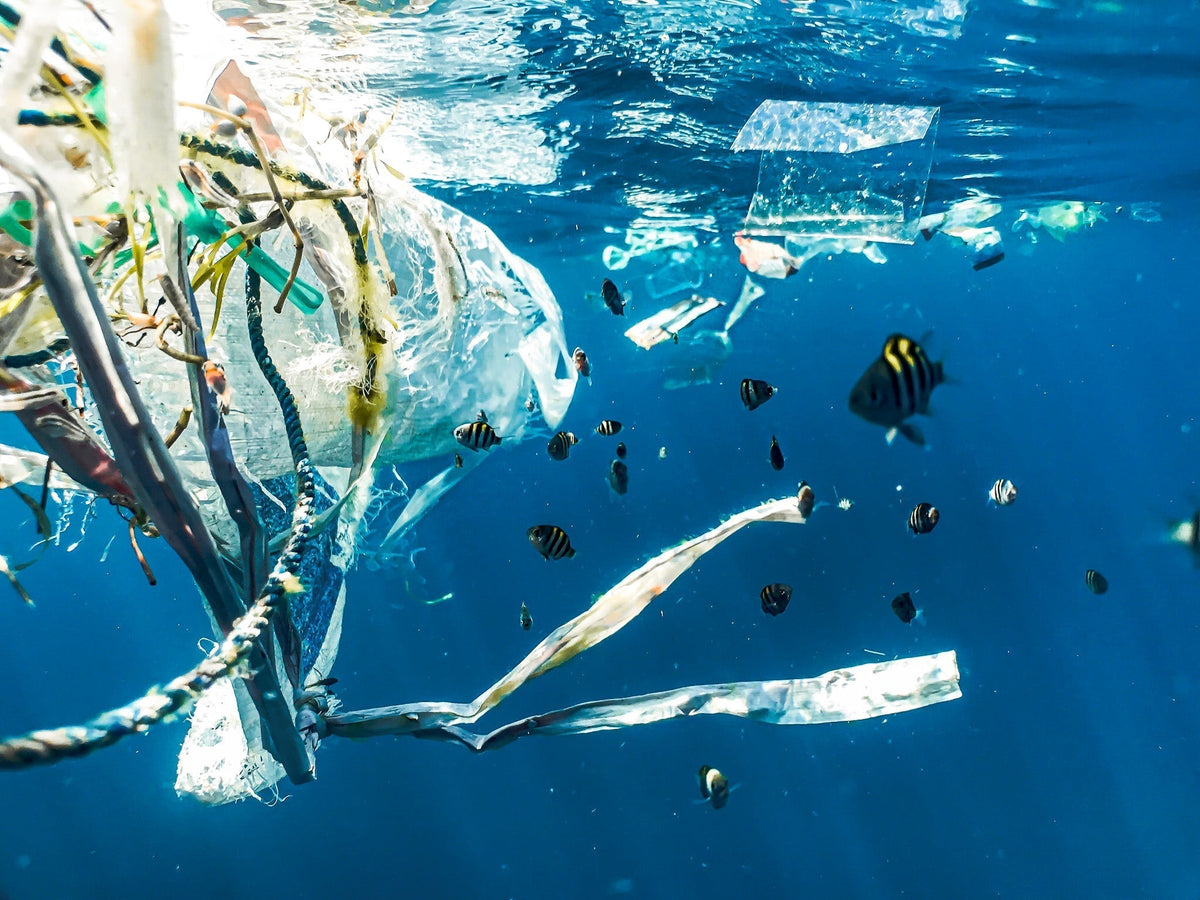 microplastic pollution in the ocean and fish swimming around it.