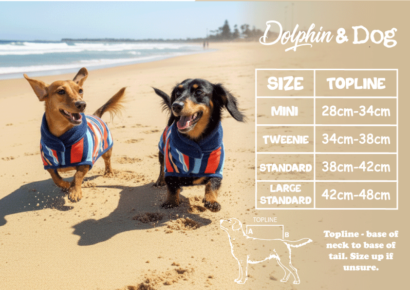 Dachshund dog coat size guide, dachshund dogs wearing dog drying coats and hooded towels for dogs