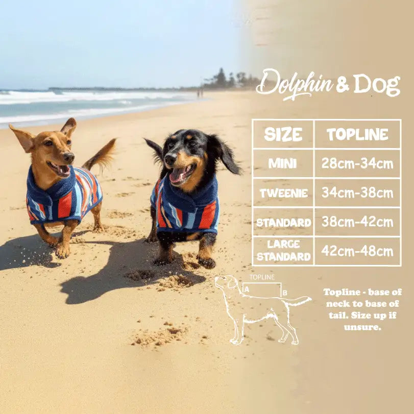 Dachshund dog coat size guide, dachshund dogs wearing dog drying coats and hooded towels for dogs
