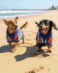 Two Dachshunds playing on the beach with their wearable dog towels on, dog drying coats by Dolphin and Dog.