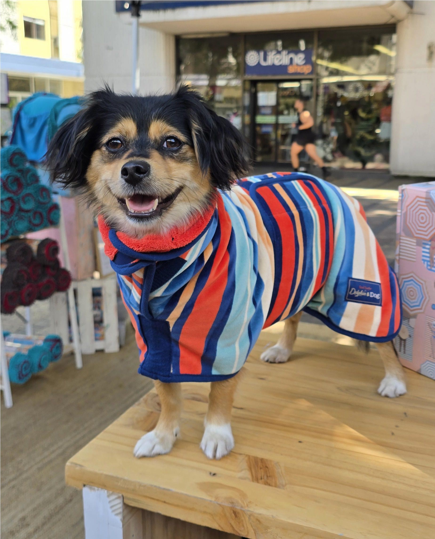 Whether it’s a park trip or beach day, our Dog Towel Drying Coat keeps your dog dry, comfortable, and ready for action with its absorbent microfibre.