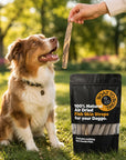 Dog sitting outdoors and looking up at an air-dried fish skin strap held by hand, with a fish skin treat bag nearby.