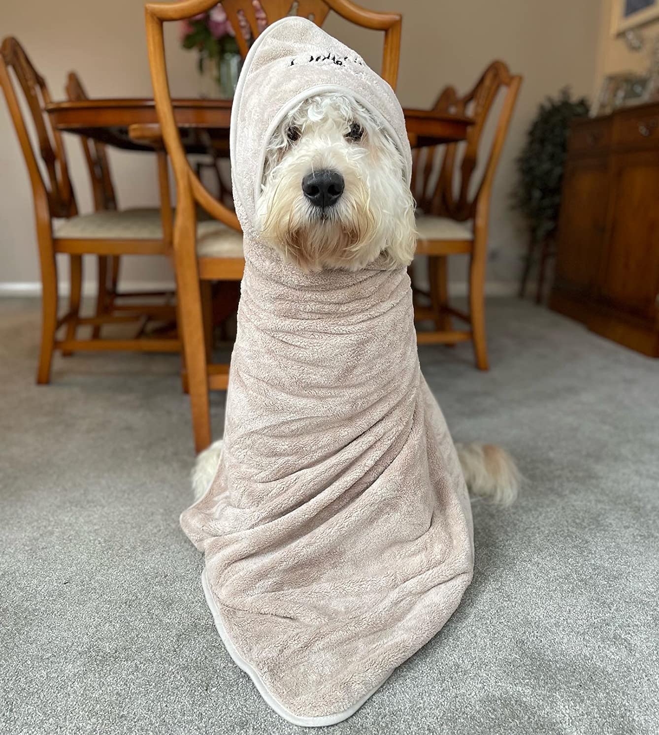 Premium microfibre dog towel, quick-drying, soft, and absorbent. Ideal for all dog sizes, eco-friendly, and perfect for gifting. A must-have dog towel for your pet.