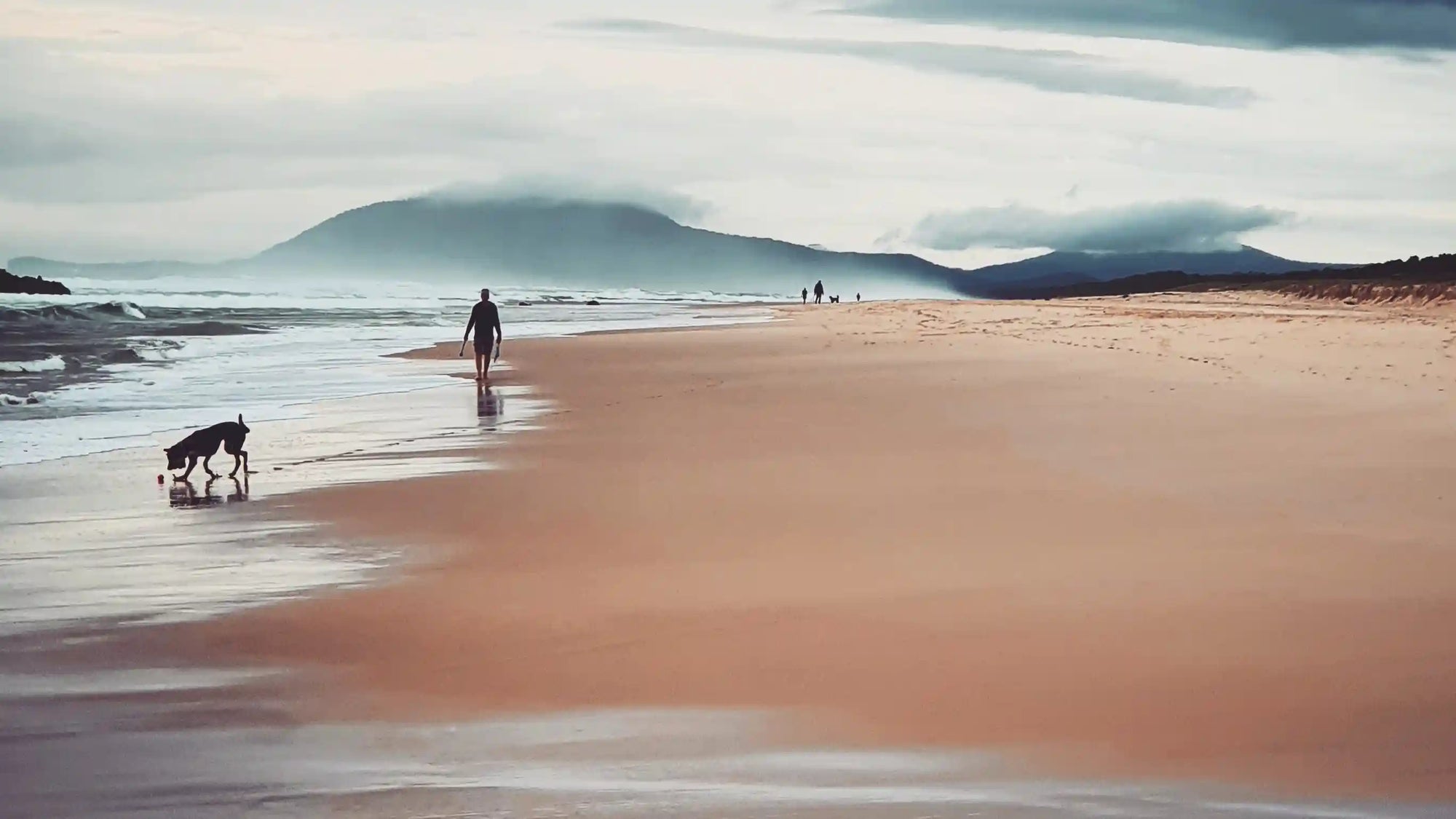 Port Macquarie dog beach, man walking his dog along the beach with views of the surrounding area