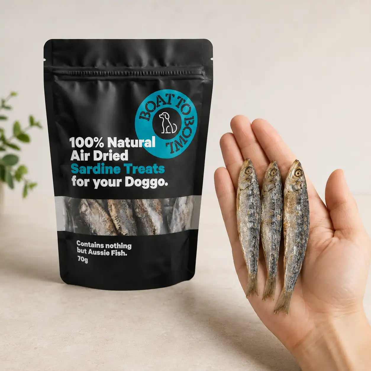 Whole sardine dog treats shown in a hand beside a Boat To Bowl 70g sardine treat pouch for size comparison.