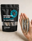 Whole sardine dog treats shown in a hand beside a Boat To Bowl 70g sardine treat pouch for size comparison.