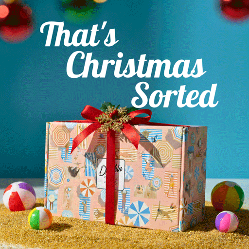 Christmas gifts for dogs, build a gift box for dogs. A dog hamper with a bow on.