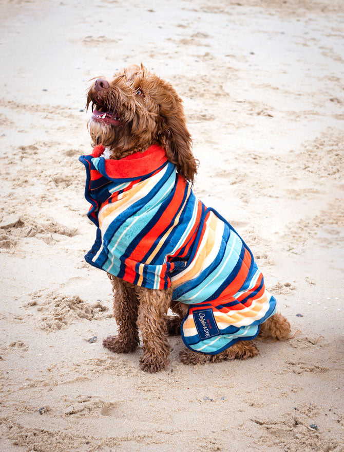 gifts for dogs, dog gifts, personalized dog gifts, best dog gifts, custom dog gifts, dog gifts for humans, unique dog gift, dog coat, dog towel, towels for dogs, dog drying coat, dog vest, dog jacket, dog microfibre towel, carhartt dog coat, personalised dog gifts 