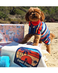 dog coat, dog drying coat, coats for dogs, dog cooling, dog anxiety jacket, dog cooling jacket, dog cooling coat, dog towel, dog hoodie, dog thunder shirt, dog thunder jacket, dog thunder coat
