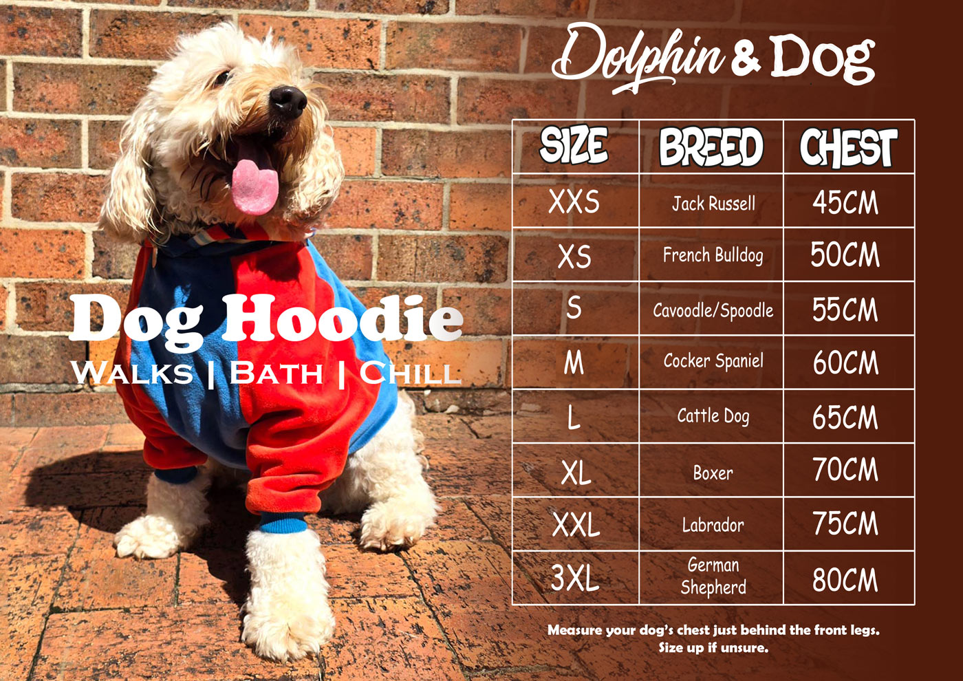 dog hoodie, cute dog wearing a premium hoodie made for dogs.