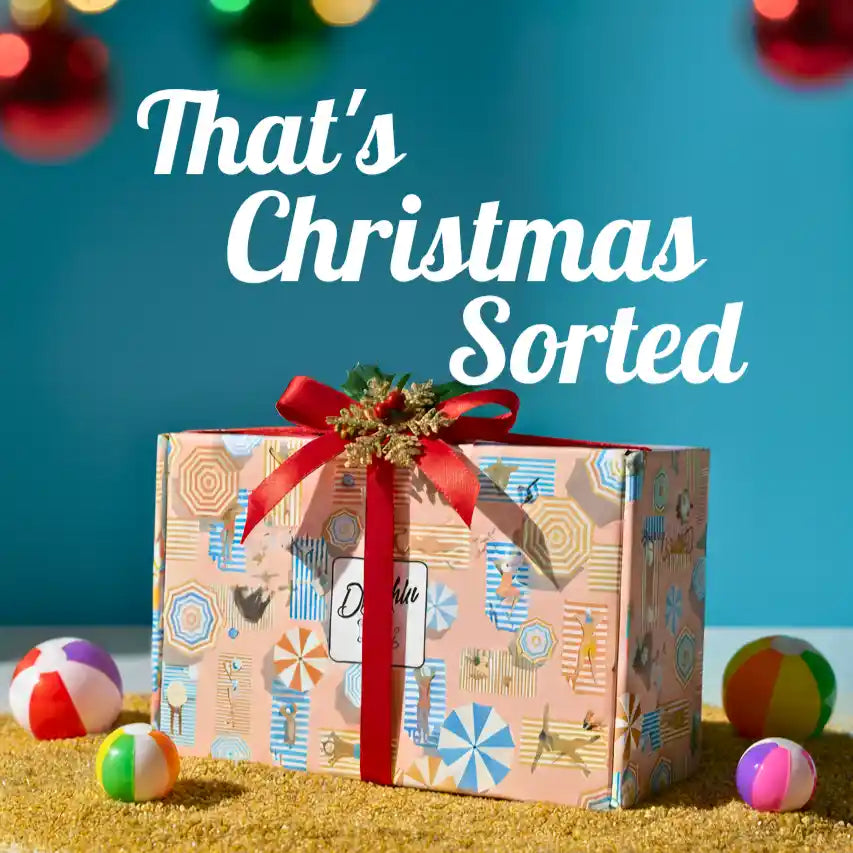 Christmas gifts for dogs, build a gift box for dogs. A dog hamper with a bow on.