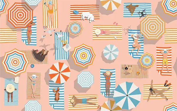 dog gift hampers, a beautifully made gift box for dogs and dog lovers 