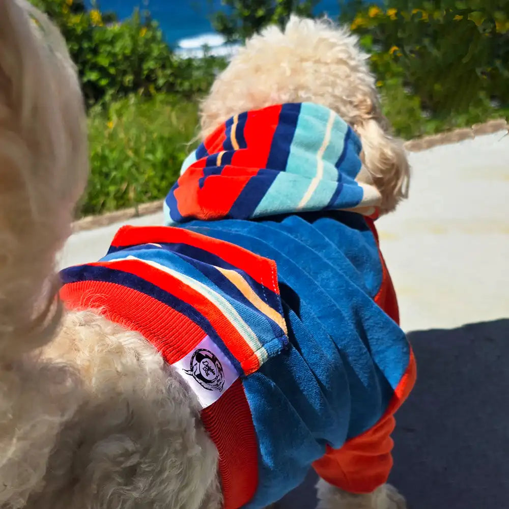 a dog wearing a dog hoodie, with a pocket and a hood, it is brightly coloured.