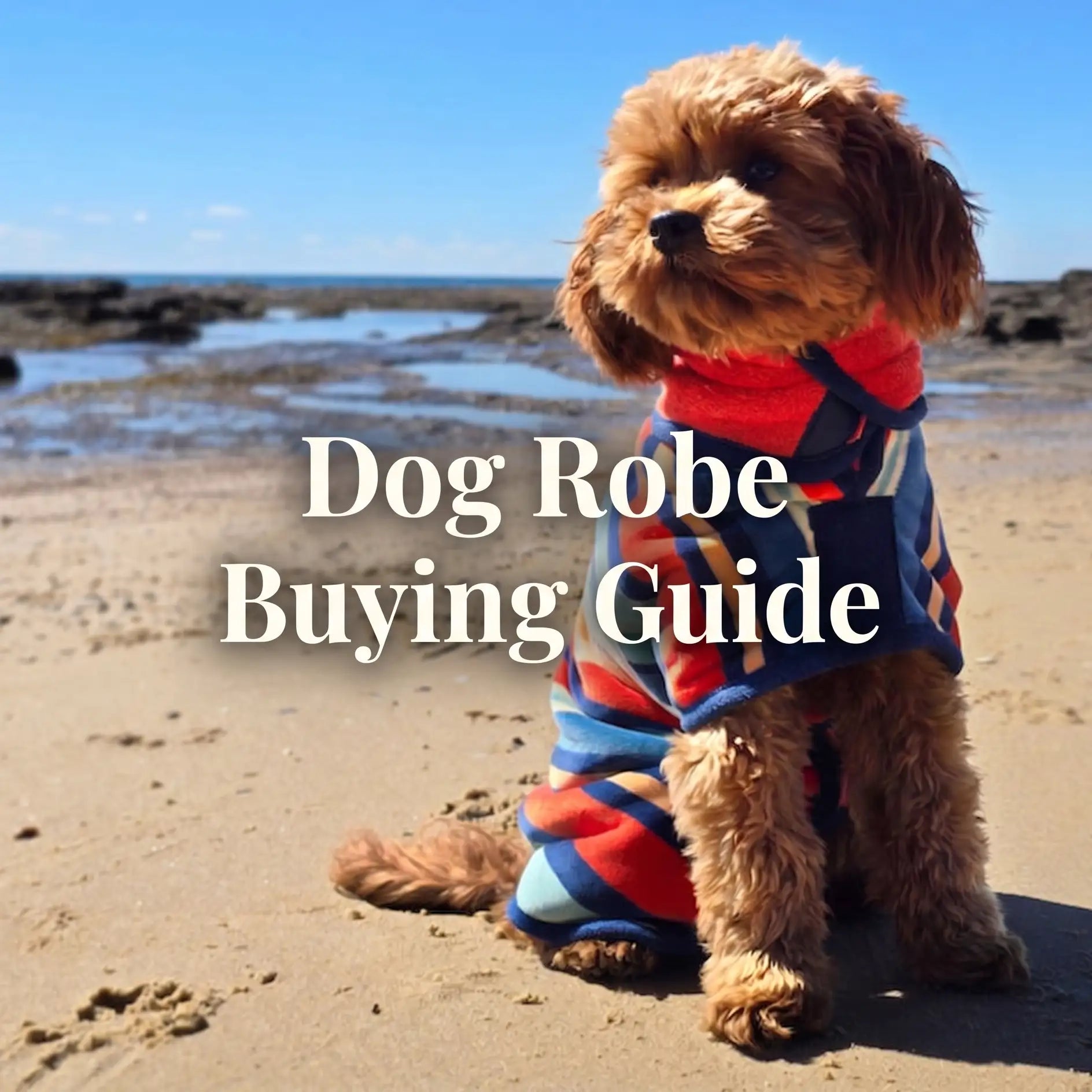 Dog wearing a colorful robe on a beach with text 'Dog Robe Buying Guide'.