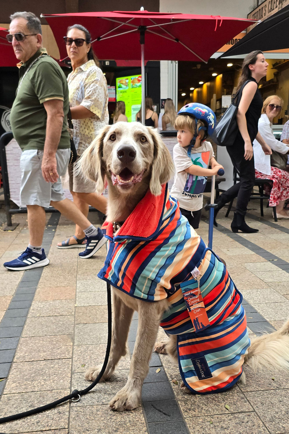dog towel robe, a dog drying coat that is a wearable dog towel.