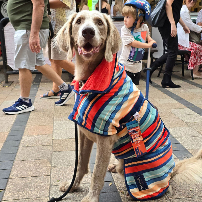 dog towel robe, a dog drying coat that is a wearable dog towel.